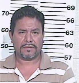 Hernandez Guillermo - Hidalgo County, TX 