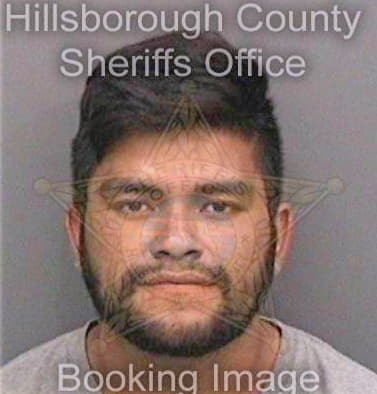 Jimenez Daniel - Hillsborough County, FL 