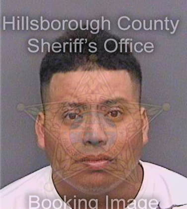 Mayolopez Lauro - Hillsborough County, FL 