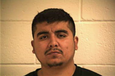 Martinez Fernando - Hidalgo County, TX 