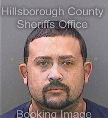 Reyesdelgado Joe - Hillsborough County, FL 