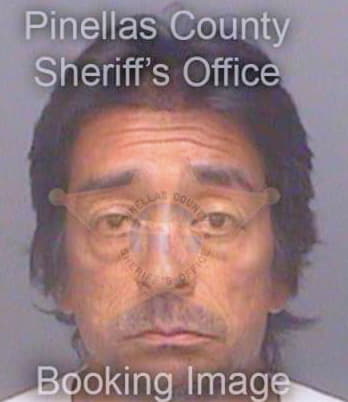 Romero Patrick - Pinellas County, FL 