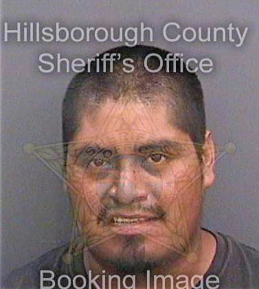 Antonio Rogelio - Hillsborough County, FL 