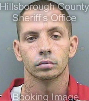 Metz Randy - Hillsborough County, FL 
