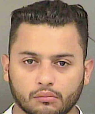 Rodriguez-Rivera Alejandro - Mecklenburg County, NC 