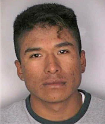 Mendoza Alfonso - Hillsborough County, FL 