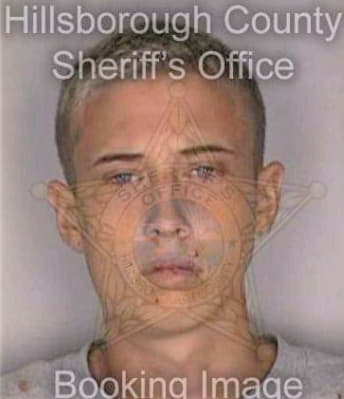 Braat Raymond - Hillsborough County, FL 