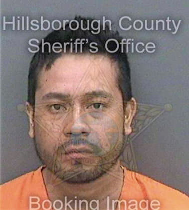 Gonzalezmorales Saulo - Hillsborough County, FL 