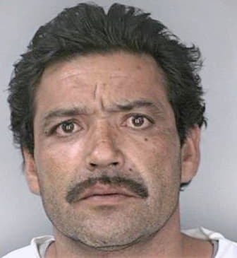 Medina Miguel - Hillsborough County, FL 