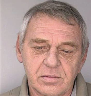 Mikowski Lawrence - Hillsborough County, FL 