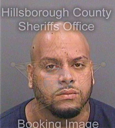 Dejesusrodriguez Luis - Hillsborough County, FL 