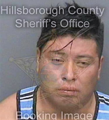 Marquezramirez Hugo - Hillsborough County, FL 