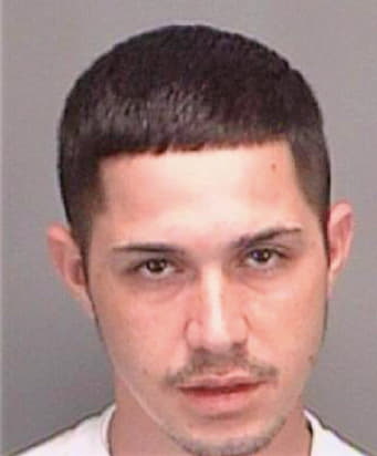 Hernandez Timothy - Pinellas County, FL 