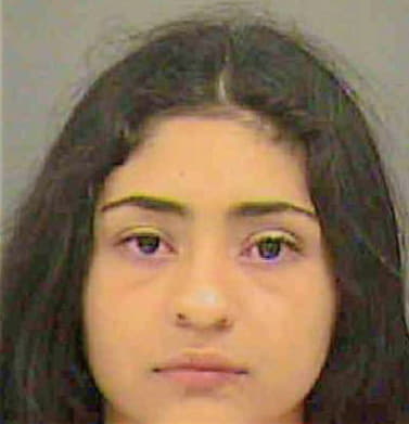 Sanchezsanchez Cinthya - Mecklenburg County, NC 