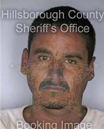 Fregoso Sergio - Hillsborough County, FL 