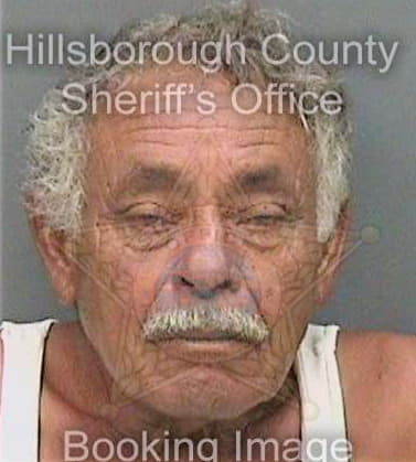 Diazalicea William - Hillsborough County, FL 