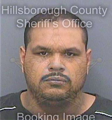 Galvan Jesus - Hillsborough County, FL 