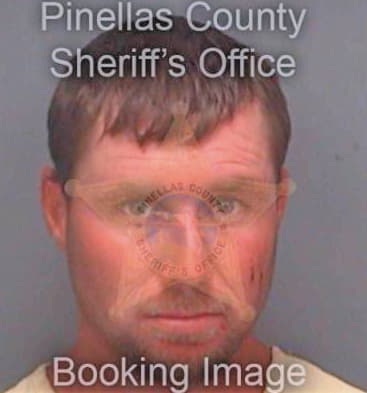 Wiley Michael - Pinellas County, FL 