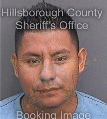 Venturacruz Reynaldo - Hillsborough County, FL 