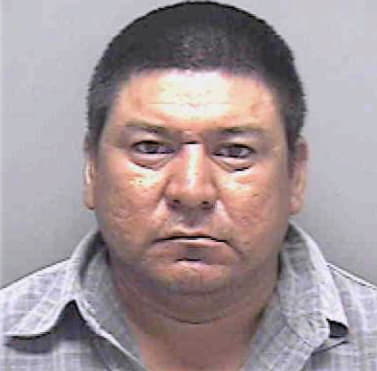 Hernandez Gonzalo - Lee County, FL 