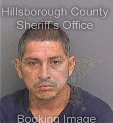 Landaverde Carlos - Hillsborough County, FL 