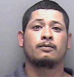 Hernandez Jose - Lee County, FL 