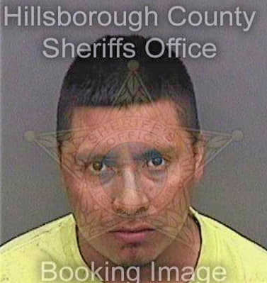 Reyesmorales Feliciano - Hillsborough County, FL 