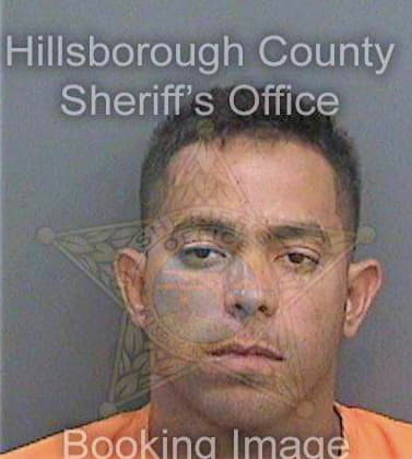 Bolanodelgado Javier - Hillsborough County, FL 