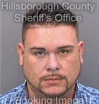 Diaz Michael - Hillsborough County, FL 