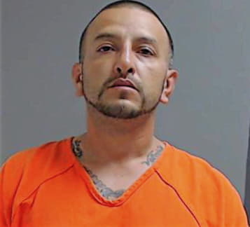 Molina David - Hidalgo County, TX 