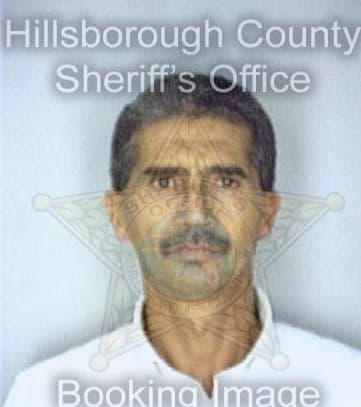 Serrano Julian - Hillsborough County, FL 