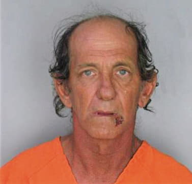 Metzmeier Steven - Hillsborough County, FL 