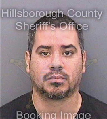 Bernal David - Hillsborough County, FL 