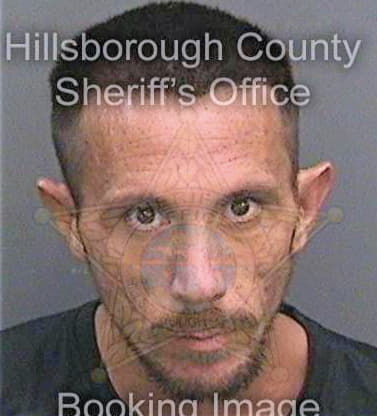 Olson Daniel - Hillsborough County, FL 