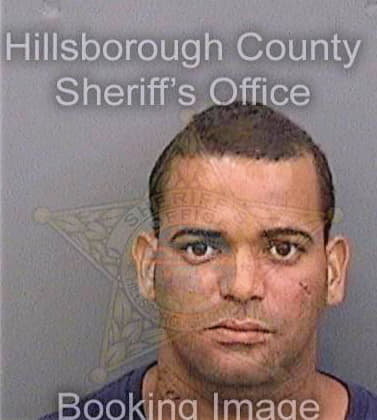 Portorreal Felipe - Hillsborough County, FL 