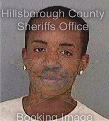 Bryant Terrance - Hillsborough County, FL 