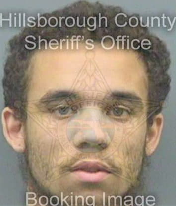 Scott Aaron - Hillsborough County, FL 