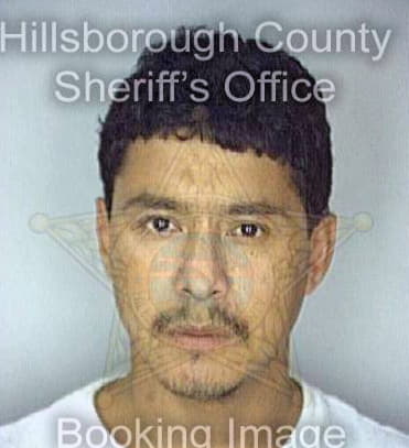 Lopez Jesus - Hillsborough County, FL 