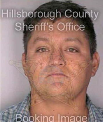 Ramos Gerardo - Hillsborough County, FL 