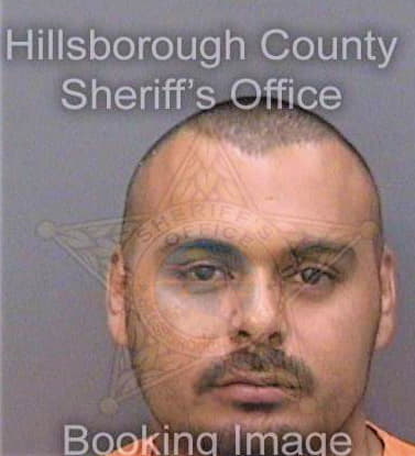 Gamboa Leonardo - Hillsborough County, FL 