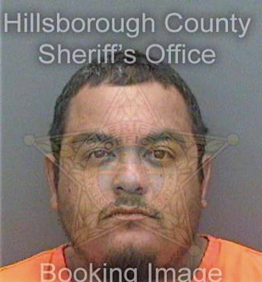 Rodriguez Adan - Hillsborough County, FL 