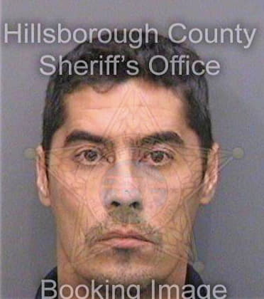 Villalba Hugo - Hillsborough County, FL 