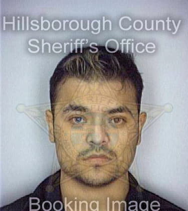 Vargas Fernando - Hillsborough County, FL 