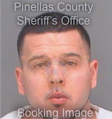 Roldan Jose - Pinellas County, FL 