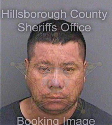 Meridaroblero Eberto - Hillsborough County, FL 
