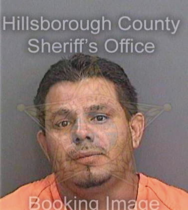 Mendozaramirez Elias - Hillsborough County, FL 