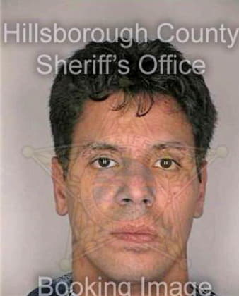 Ortiz Luis - Hillsborough County, FL 