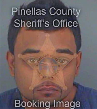 Prasad Vishesh - Pinellas County, FL 