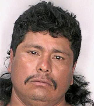 Silvanfocil Jose - Hillsborough County, FL 