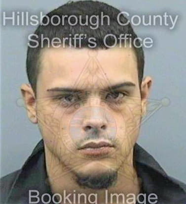 Torresperez Omar - Hillsborough County, FL 